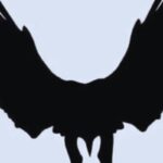 Test immagine animale