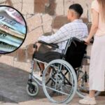 850 euro assistenza disabili